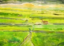 Carnet 2 de GENEVIEVE GOSSOT_49