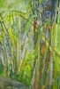 Bambous de GENEVIEVE GOSSOT_3